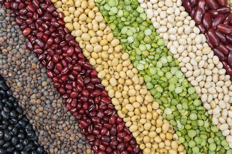 Legumes secos multicoloridos para fundo diagonal feijão seco diferente