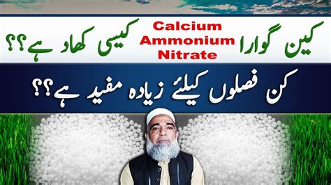 What Is Calcium Ammonium Nitrate Can Fertilizer Crop Reformer