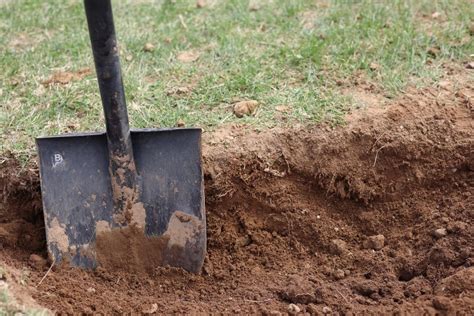 How To Dig A Garden By Hand Laptrinhx News