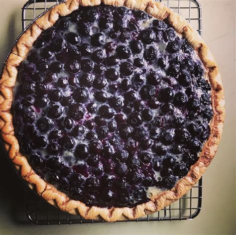 Blueberry Custard Pie Recipe The Feedfeed