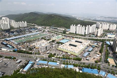 “농수축산물 한약재 총괄” 대구농수축산물유통공사 설립” 디지털경제