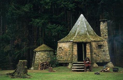 harry potter, hagrid, and house image | Hagrids hut, Harry potter, Hagrid