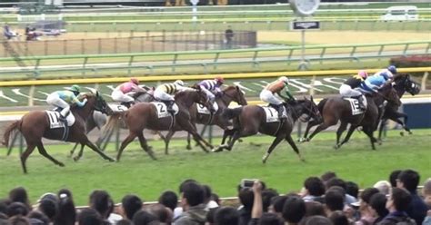 819水【指数一覧表】詳細版💥門別競馬 全レース💥4rまで無料公開 ｜🔥炎の1点勝負🔥