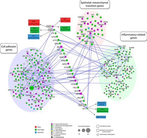 Schematic Representation Of Proteinprotein Interaction Network Download Scientific Diagram