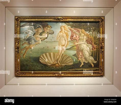 Florence Italy Nov Birth Of Venus C By Sandro