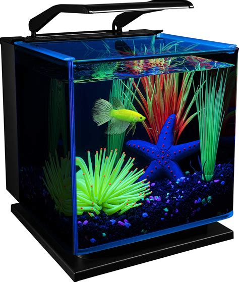 Amazon Glofish Aquarium Kit Fish Tank With Led Lighting And