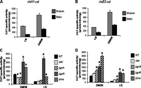 Role Of Lee Encoded Regulators And H Ns On The Expression Of