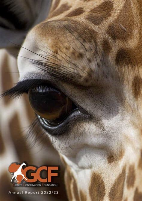 Annual Reports Archives Giraffe Conservation Foundation