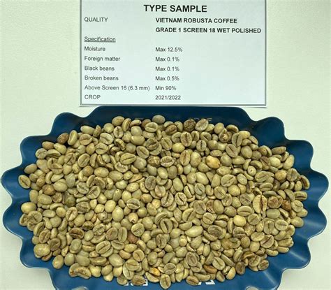 Buy Vietnam Robusta Coffee Grade Screen Wet Polished From Nam Son