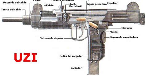 Partes Del Arma De Fuego