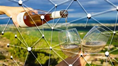 Blockchain Y Vinos El Eje De Un Curso De La OIV