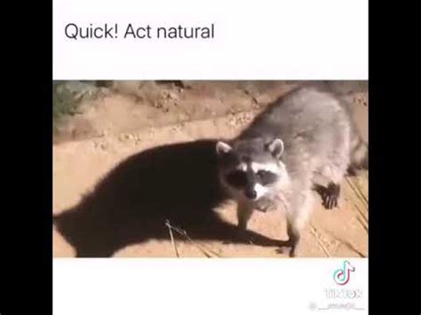 Quick Act Natural YouTube