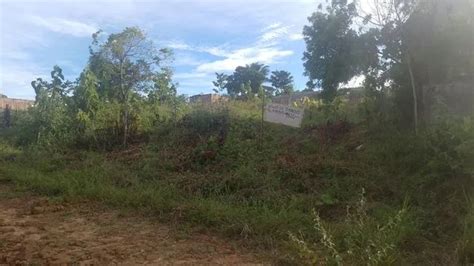 Vendo Terreno Na Ilha De Itaparica Localidade De Manguinhos Terrenos