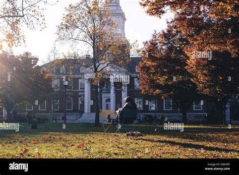 Students Sit On Lounge Chairs Studying In Front Of Gilman Hall On The