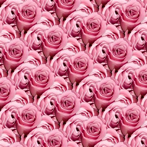 Pink Roses 22 Pattern