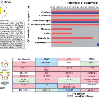 Residual ECM And Growth Factors In Skin DECM A The LC MS Assay