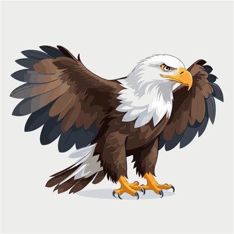 Premium Vector Bald Eagle Vector On White Background