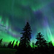 Jasper National Park Aurora Photograph By Dan Jurak Fine Art America