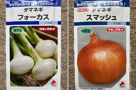 極早生種タマネギを植え付けました～！ どんべいの週末菜園日記