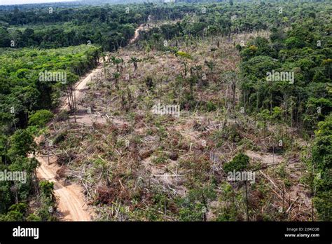 Concepts Deforestation Destruction Environment Hi Res Stock Photography