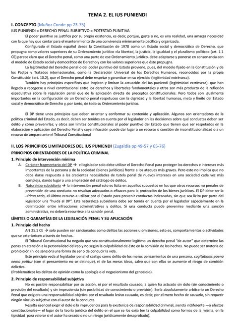 Tema 2 Manual Apuntes 2 Tema 2 El Ius Puniendi I Concepto Muñoz Conde Pp 73 75 Ius