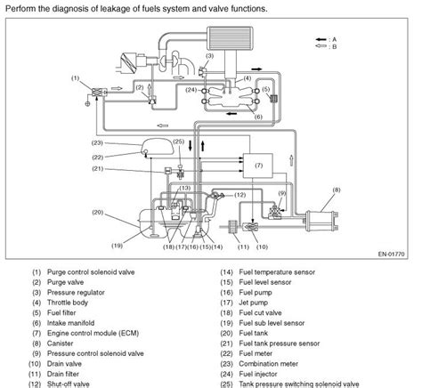 Evap Purge Vacuum Line Routing Subaru Forester