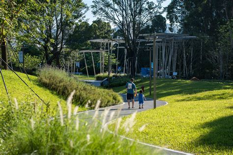 Bicycle Track Shinrin Yoku Courtyard Design Forest School Space