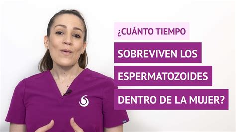 ¿sobreviven Muchos Días Los Espermatozoides Dentro Del Cuerpo De La Mujer Youtube