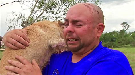 Most Emotional Animals Reunited With Owners After Years Animal Reunion