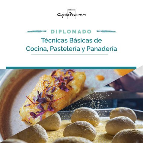 Diplomado Técnicas Básicas Cocina Pastelería y Panadería Gato Dumas