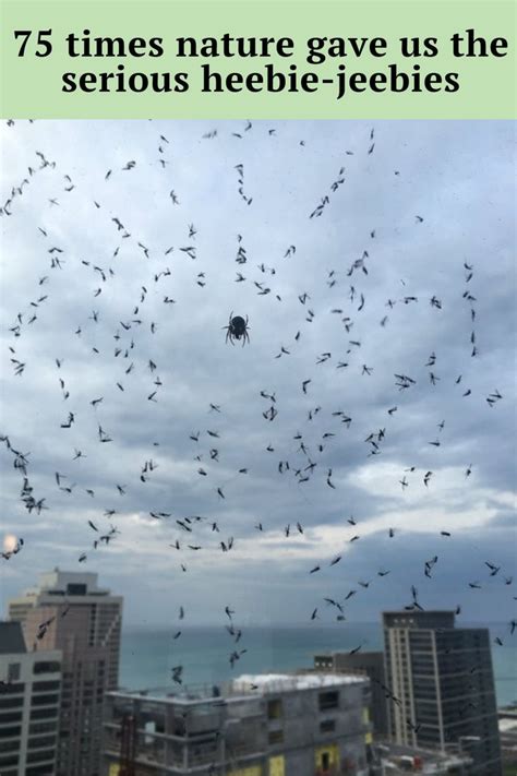 There Are Many Birds Flying In The Sky Over The Cityscape And Water Below