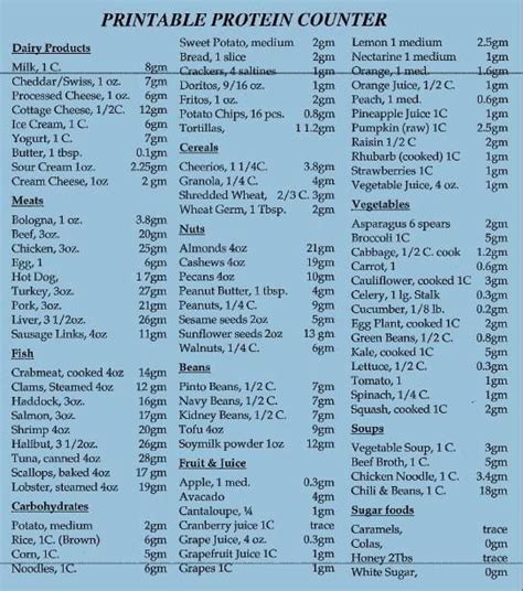 Protein Grams Food Chart Printable