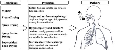 Pharmaceutics Free Full Text Dry Powder For Pulmonary Delivery A