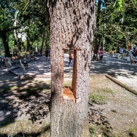 Andernos les Bains Parc du Broustique Présentation et avis des