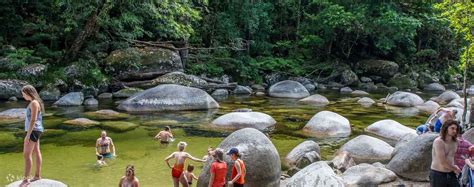 Cape Tribulation Daintree Rainforest Mossman Gorge Tour From Cairns