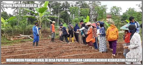 Membangun Pangan Lokal Di Desa Papayan Langkah Langkah Menuju