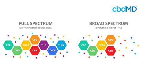 Understanding Different Types of CBD Products | cbdMD