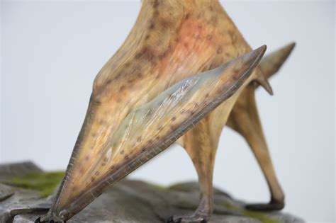 M.See 1/35 Quetzalcoatlus Statue – Lana Time Shop