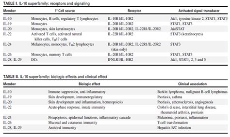 Interleukin-10 | Cytokine IL-10 Family - BiologicsCorp