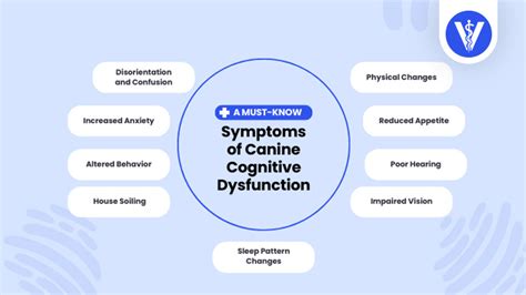 Canine Cognitive Dysfunction (CCD): Symptoms, Causes and Treatments ...