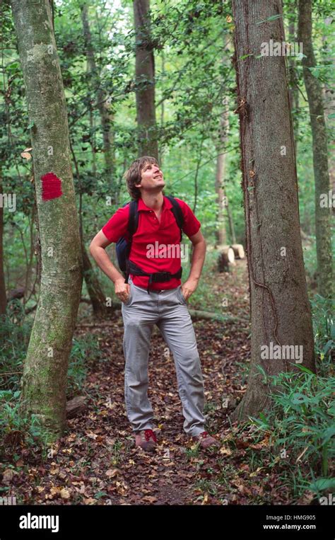 Congaree swamp hi-res stock photography and images - Alamy