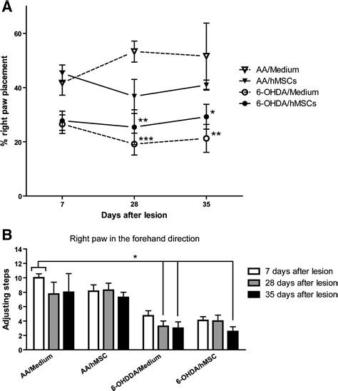 Neuroprotective Effects Of Human Umbilical Cord Mesenchymal Stromal