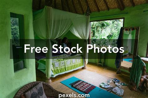 Jungle Bedroom Photos, Download The BEST Free Jungle Bedroom Stock Photos & HD Images