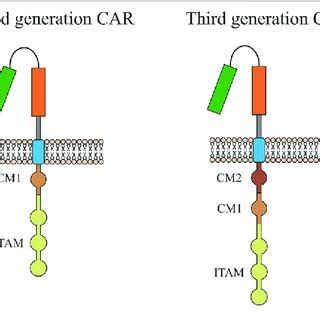 Evolution Of Chimeric Antigen Receptor Car From The First