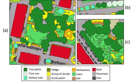 Detailed classification of trees and shrubs based on spatial ... 