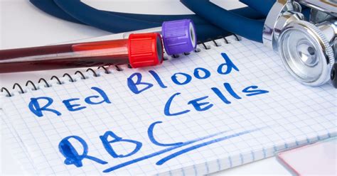 Red Blood Cell Count High (RBC): Causes, Symptoms and Treatment ...