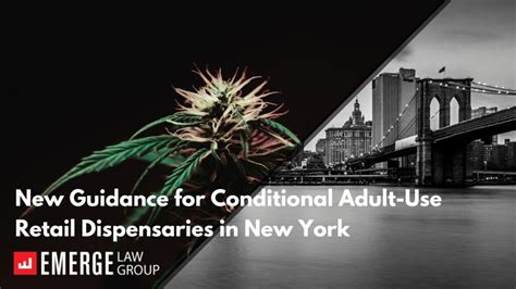 New Guidance For Conditional Adult Use Retail Dispensaries In New York