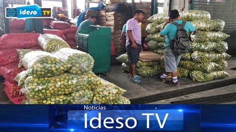 ICA Precio Del Limón Se Triplica Y Llega Hasta Los 14 Soles El Kilo En