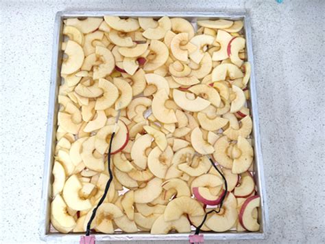 Freeze Dry Apple Slices