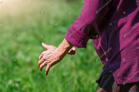 Practice Of Tai Chi Chuan In Outdoor